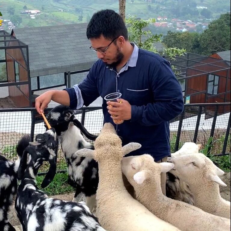 the nice funtastic park8 768x768