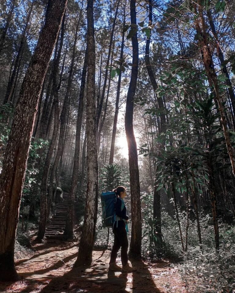 wisata karacak valley garut2 768x960