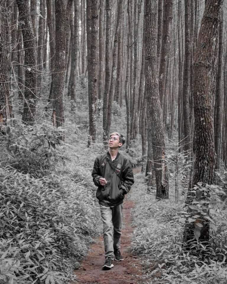 wisata karacak valley garut9 768x960