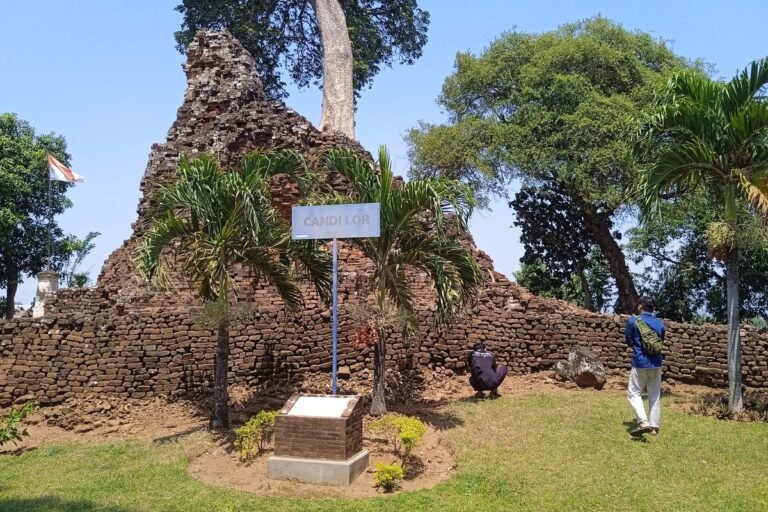 64e5c51ce2adc 768x512