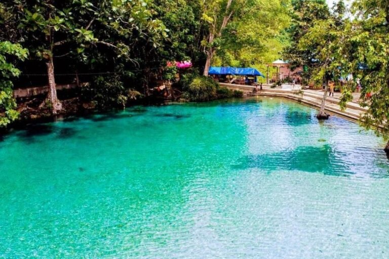 67a565d638bc4 768x512