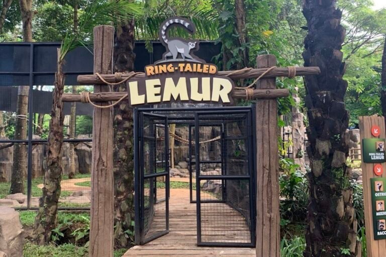 enchanting valley by taman safari2 768x512