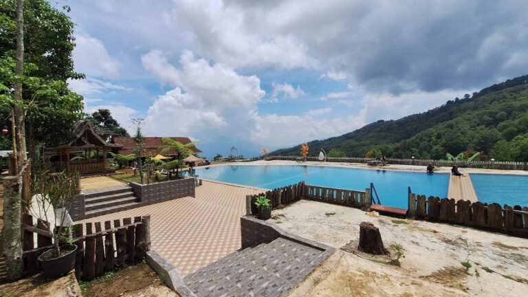 img 20241122 wa0033 768x432