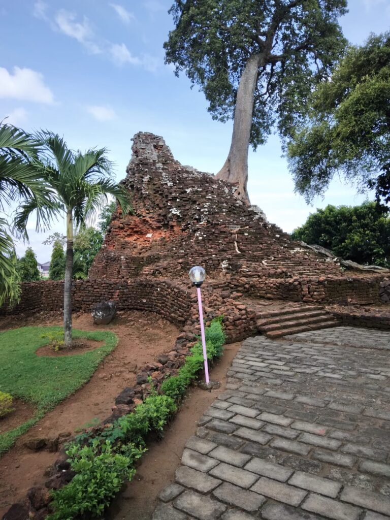 whatsapp image 2022 07 27 at 14.43.06 768x1024