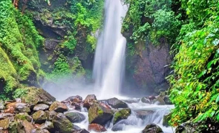 whatsapp image 2024 03 19 at 061736 2811868821