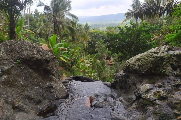 672614ffe0331 768x512