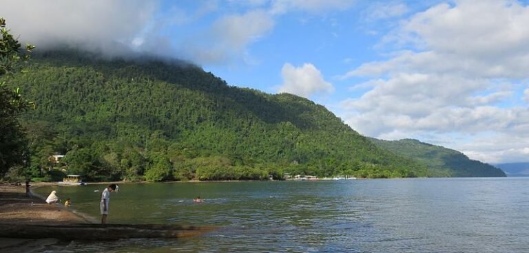 800px pantai salonsa danau matano 768x368