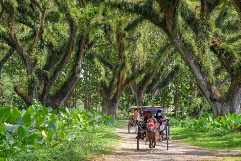 djawatan benculuk 780x520 1 768x512