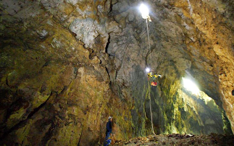 goa cokro resize 1 768x480