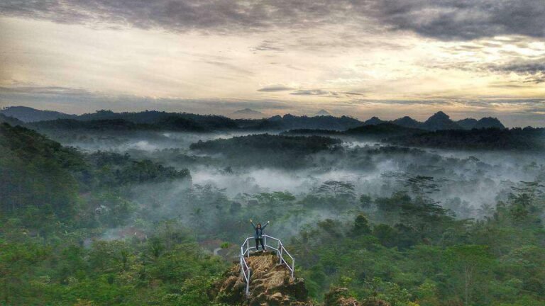 hutan pinus kalilo kaligesing purworejo profile1672685634 768x432