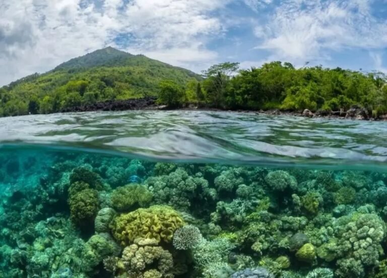 lava flow banda neira1 768x552