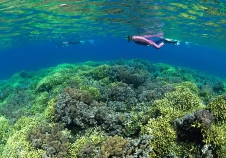 lava flow banda neira2 768x537