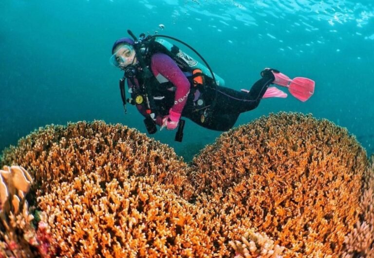 lava flow banda neira4 768x530