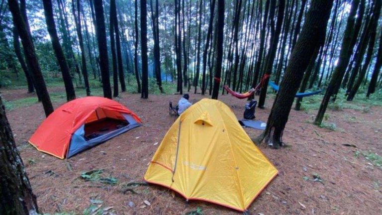 pinus pasiran tengah2