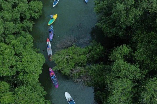 taman wisata alam angke kapuk