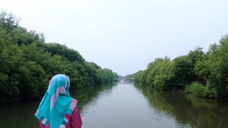 taman wisata alam angke kapuk2 768x432