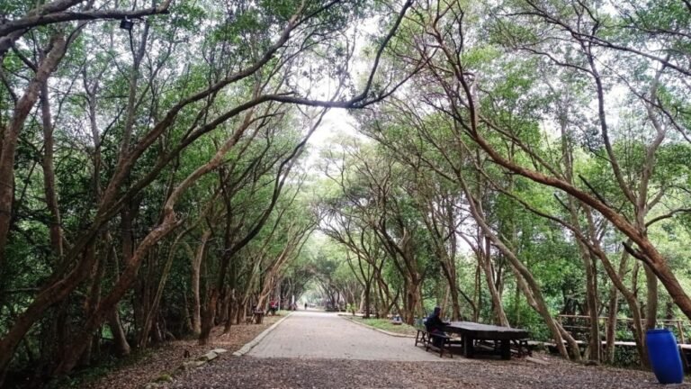 taman wisata alam angke kapuk3 768x432