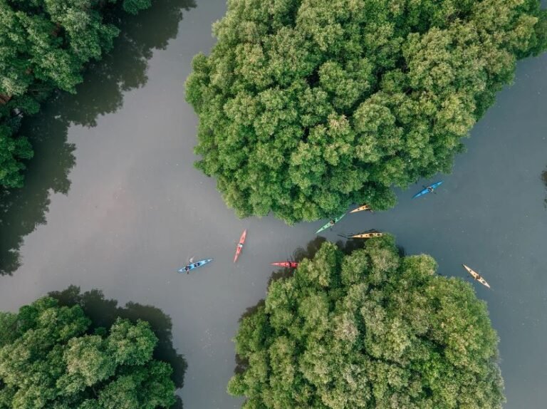 taman wisata alam angke kapuk4 768x574