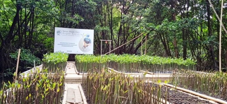 taman wisata alam angke kapuk5 768x354