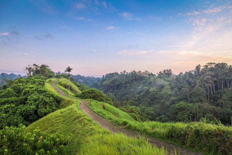 5 Bukit Terbaik untuk Menikmati Sunrise dan Sunset