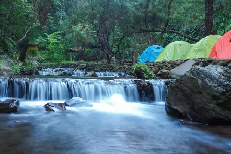 shutterstock 2471213385 768x512