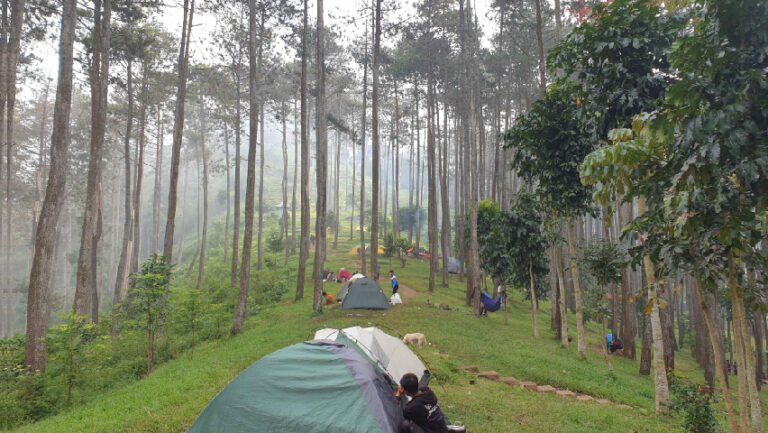 wisata batu kuda 768x433