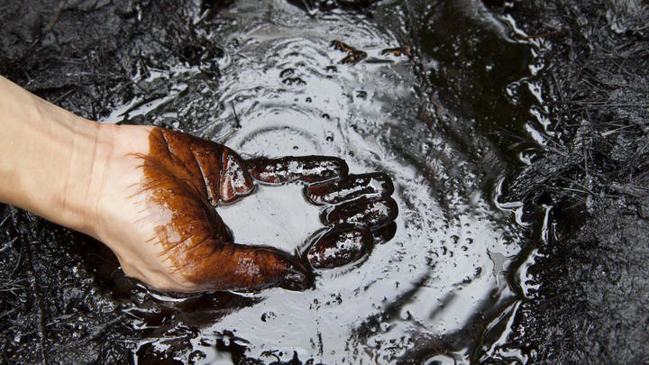 Bukan dari Dinosaurus, Minyak Bumi Ternyata Berasal dari Makhluk Kecil Ini