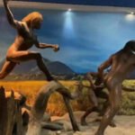 MUSEUM SANGIRAN - Area ruang pamer Museum Manusia Purba Sangiran, rekomendasi tempat wisata edukatif di Sragen, Jawa Tengah.