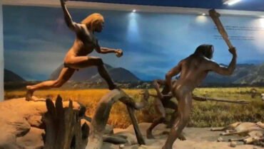 MUSEUM SANGIRAN - Area ruang pamer Museum Manusia Purba Sangiran, rekomendasi tempat wisata edukatif di Sragen, Jawa Tengah.
