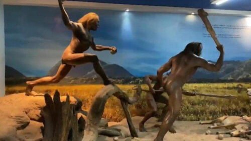 MUSEUM SANGIRAN - Area ruang pamer Museum Manusia Purba Sangiran, rekomendasi tempat wisata edukatif di Sragen, Jawa Tengah.