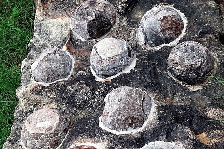 Bukan dari tulang, rahasia usia dinosaurus ternyata tersembunyi di kulit telurnya