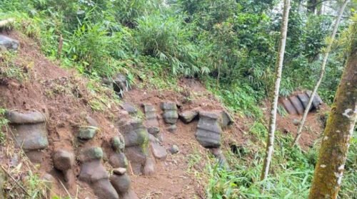 Batuan Purba — Suasana di lokasi ditemukannya batuan purba di perbukitan Igir Karem, Desa Karangjambu, Kabupaten Purbalingga, Senin (29/12/2025). (TRIBUN JATENG/Farah Anis Rahmawati)