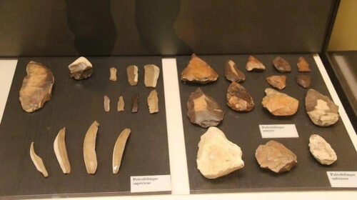 Zaman Paleolitikum: Pengertian, Ciri-Ciri, dan Peninggalan